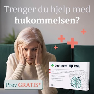 Få bedre konsentrasjon med Lectinect Hjerne