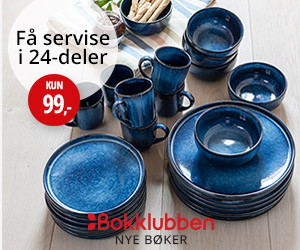 Få ADA servise i stentøy 24 deler kun kr 99 fra Nye Bøker