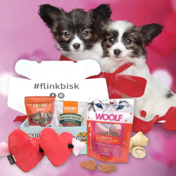 Få gratis Valentine pakke til din hund fra FlinkBisk