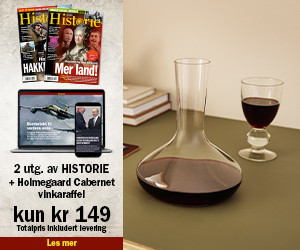 Historie 2 nr for kr 149 og Holmegaard Cabernet vinkaraffel