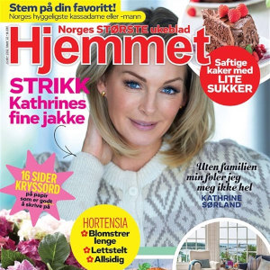 22 nr av Hjemmet i abonnement med Iglo vase i gave