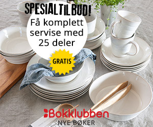 Få Iben servise i 25 deler til 6 personer fra Nye Bøker