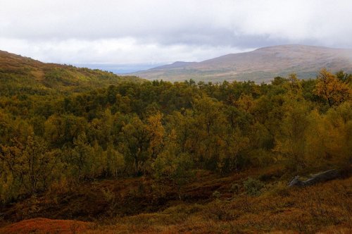Opptil 40 % rabatt på outdoorklær hos Outnorth